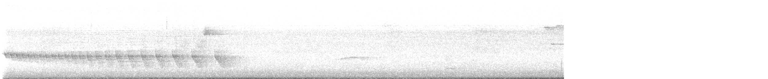 White-bellied Antbird - ML646414837