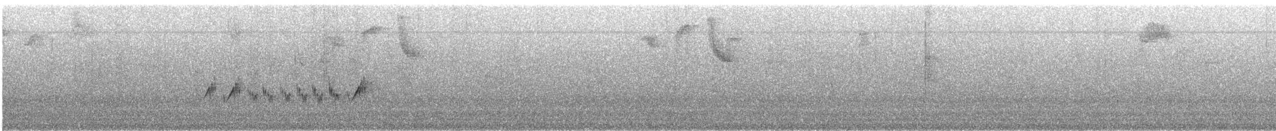 Olive Warbler - ML646415024