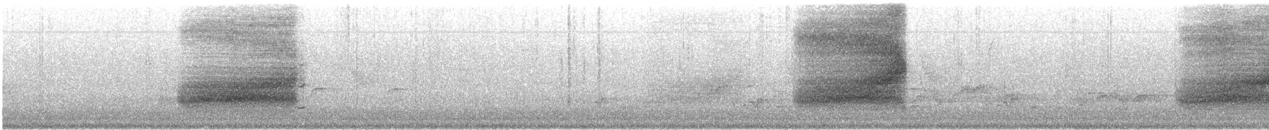 White-throated Jay - ML646415384