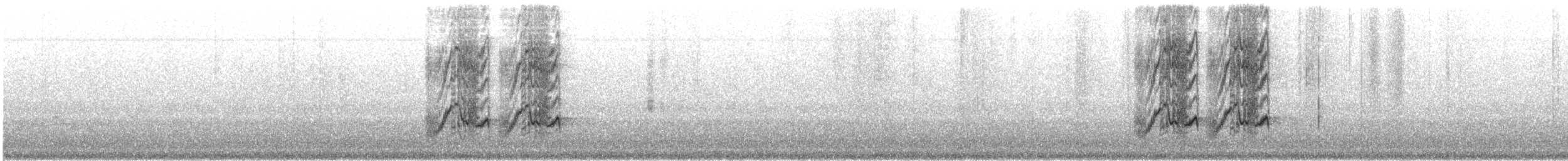 White-throated Jay - ML646415385