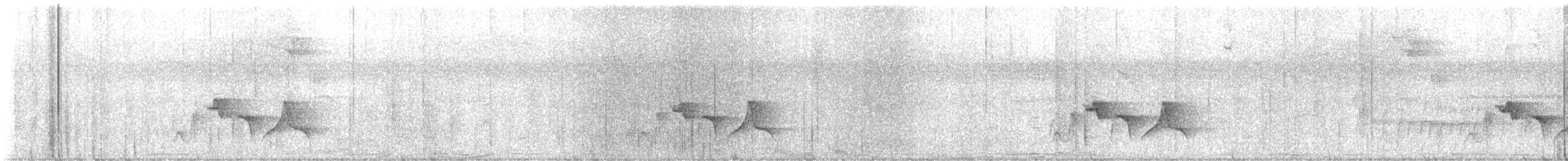 Puerto Rican Vireo - ML646415529