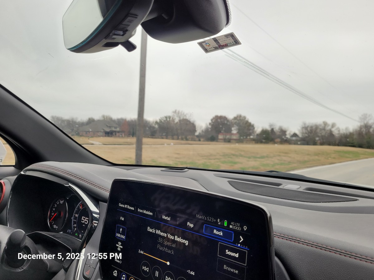 Ring-billed Gull - ML646415543