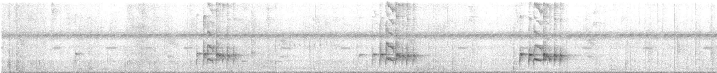 Loggerhead Kingbird - ML646415767