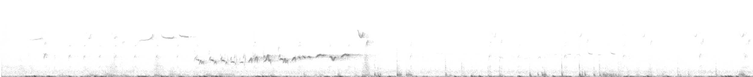 králíček americký - ML646415770