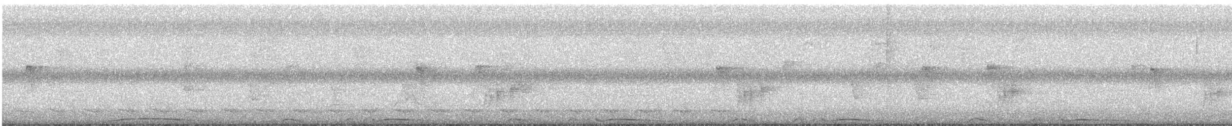 Black-and-white Warbler - ML646416032