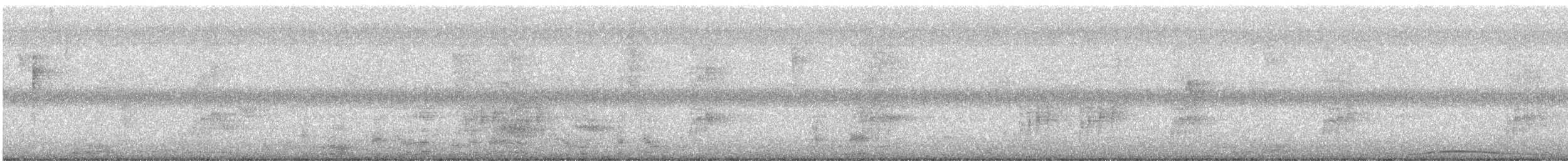 Black-and-white Warbler - ML646416033