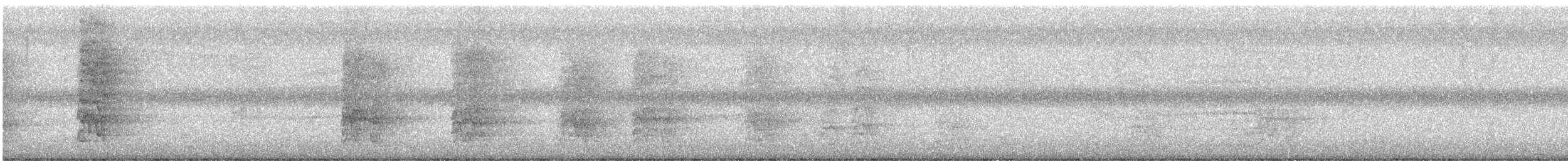 Black-and-white Warbler - ML646416034