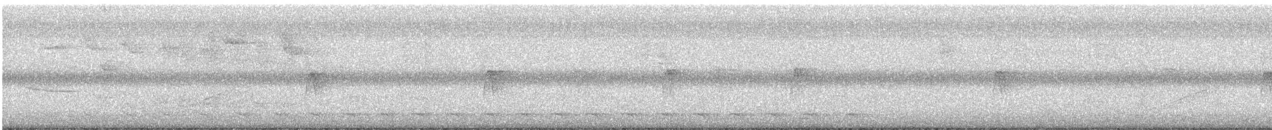 Black-and-white Warbler - ML646416036