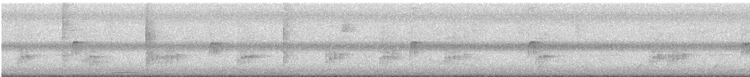 Black-and-white Warbler - ML646416037