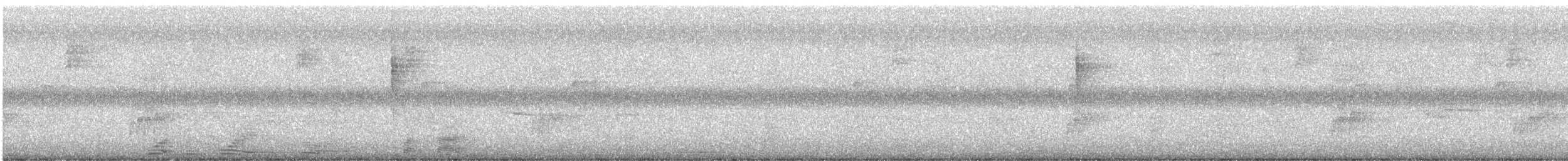 Black-and-white Warbler - ML646416038