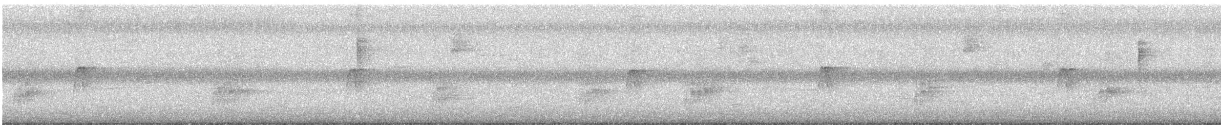 Black-and-white Warbler - ML646416039