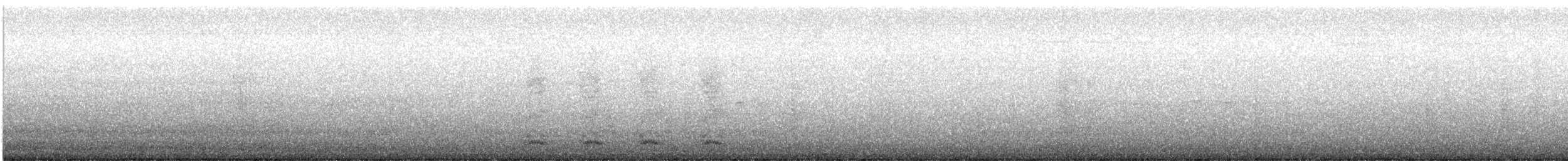 American Crow - ML646416664