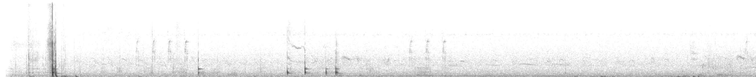 Chirping Cisticola - ML646417408