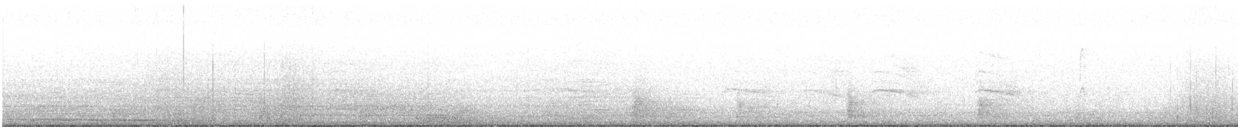 sojka chocholatá - ML646417543