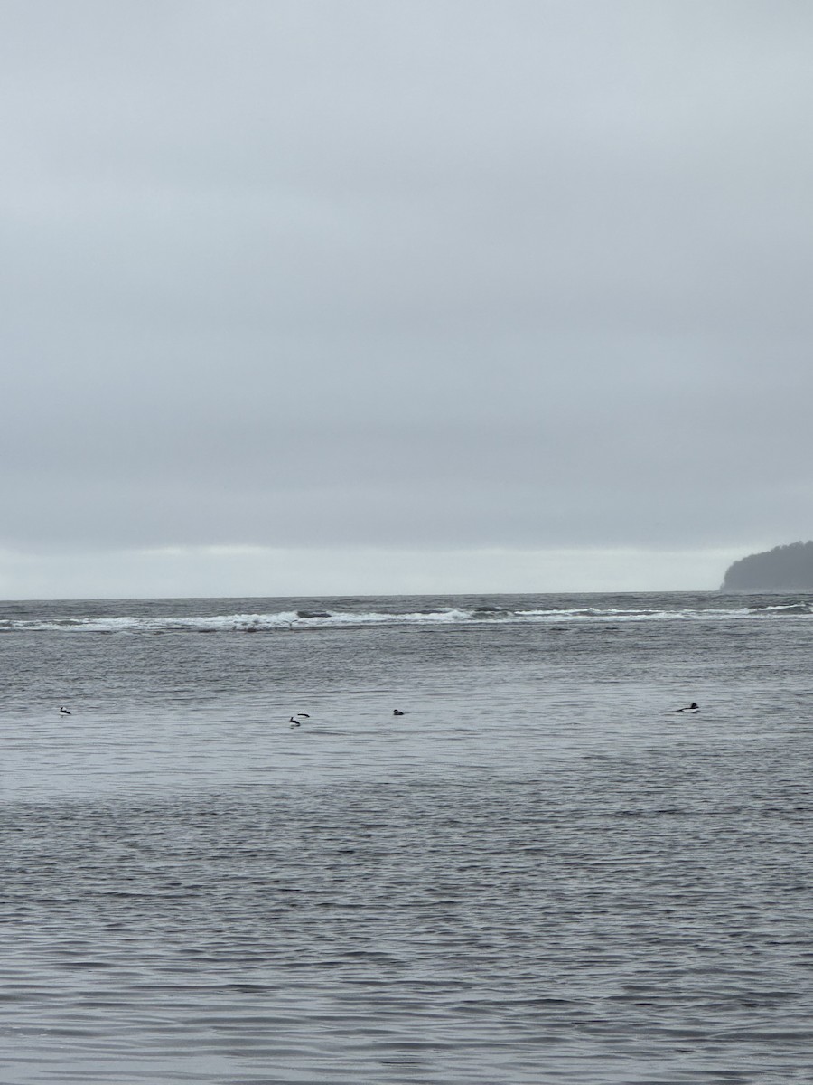 Гоголь - ML646417843