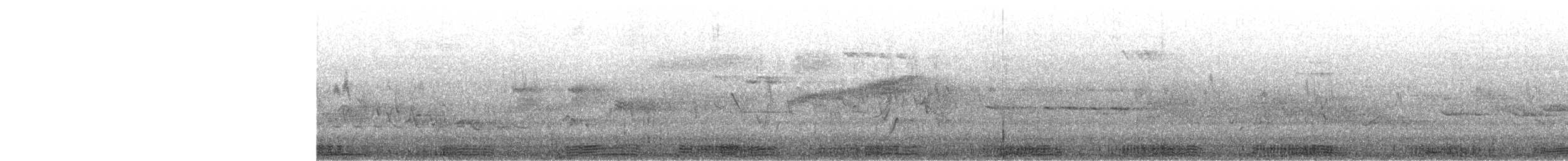 Koartza hauskara amerikarra - ML646418346