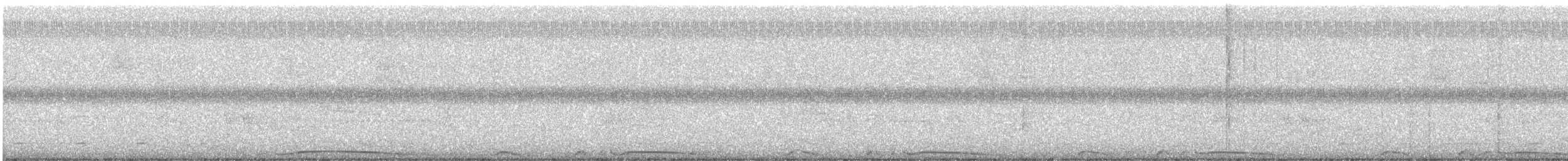 Red-billed Pigeon - ML646418763