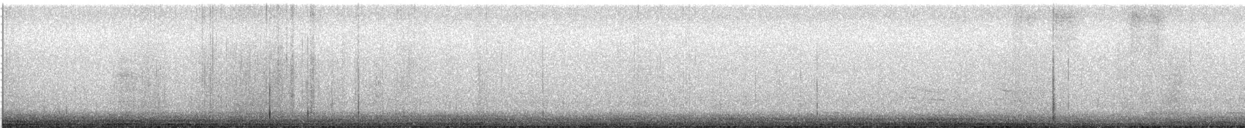 sojka chocholatá - ML646418819