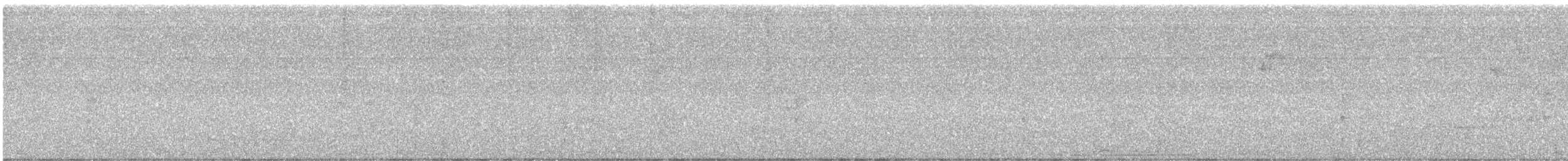 Karga Akbabası - ML646418922