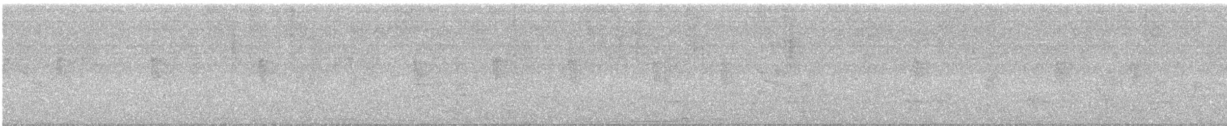 Karga Akbabası - ML646418923