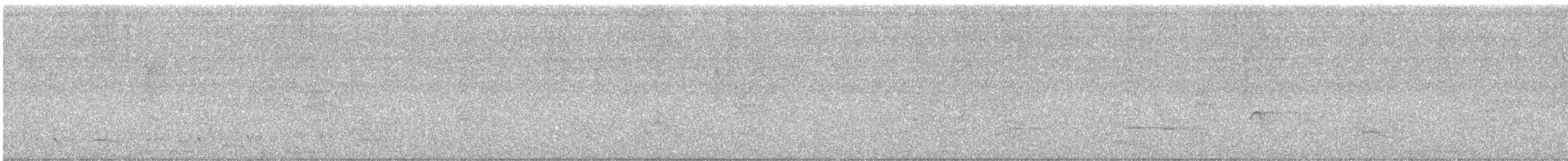 Karga Akbabası - ML646418924