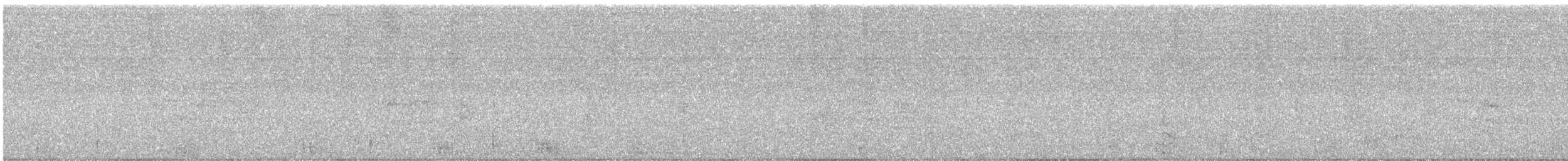 Broad-winged Hawk - ML646418946