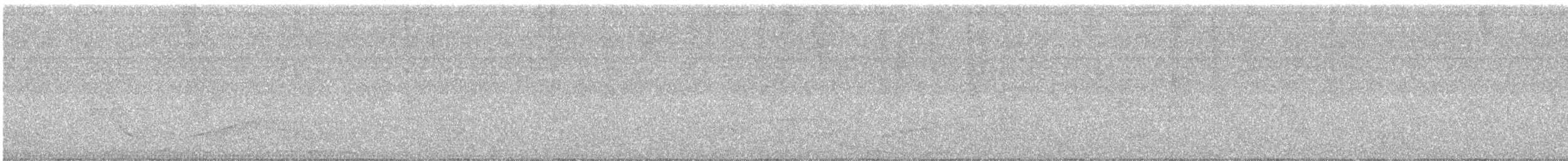 Broad-winged Hawk - ML646418951