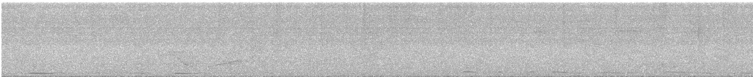 Broad-winged Hawk - ML646418953