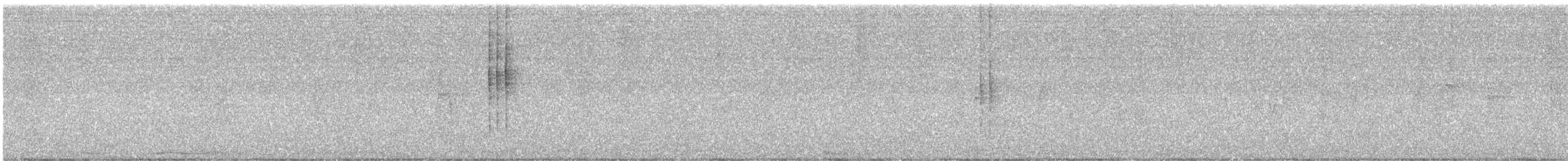 Tropical Kingbird - ML646418962