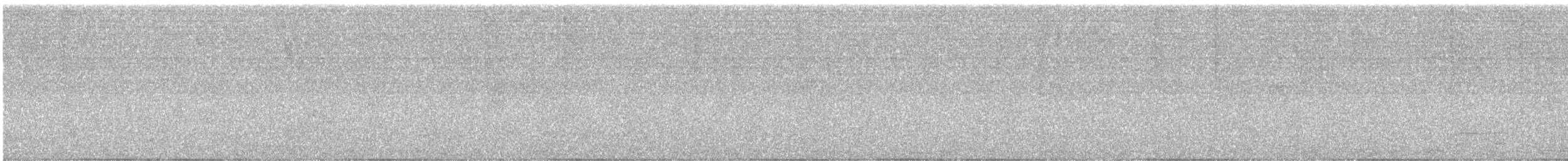 Tropical Kingbird - ML646418964