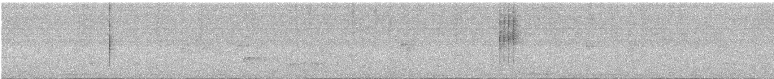 Tropical Kingbird - ML646418965