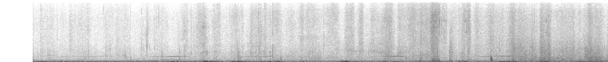 sýc americký - ML646419441