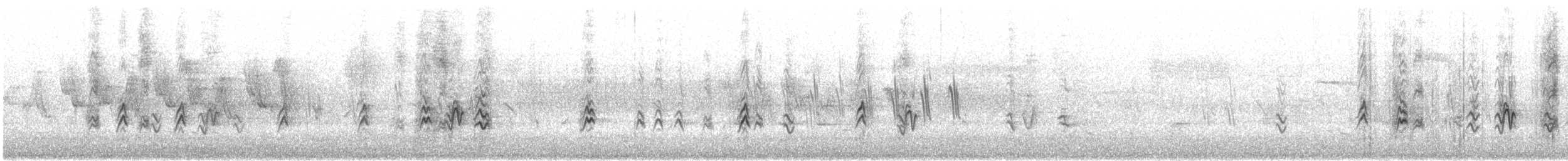 House Finch - ML646419518