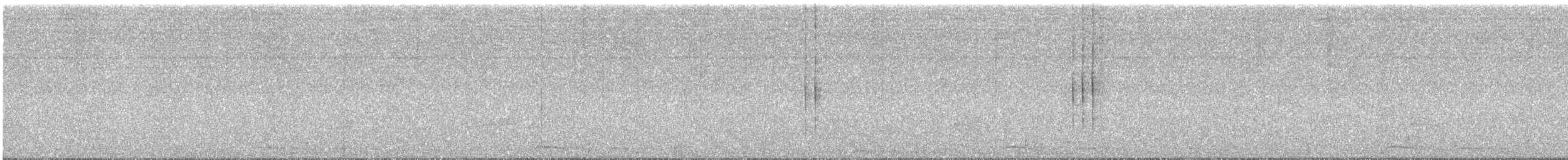 オナガクロムクドリモドキ - ML646419523