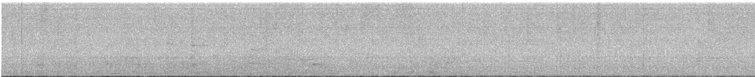 オナガクロムクドリモドキ - ML646419524