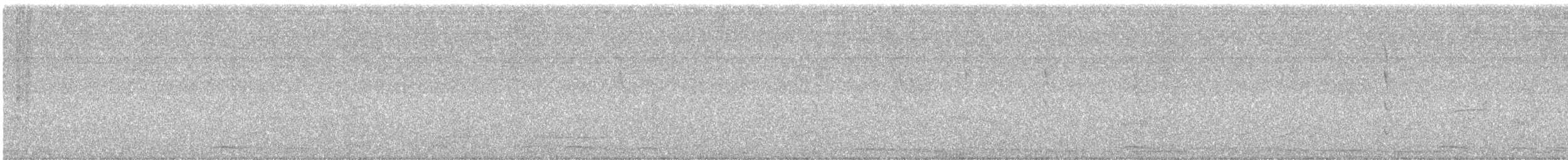 オナガクロムクドリモドキ - ML646419525