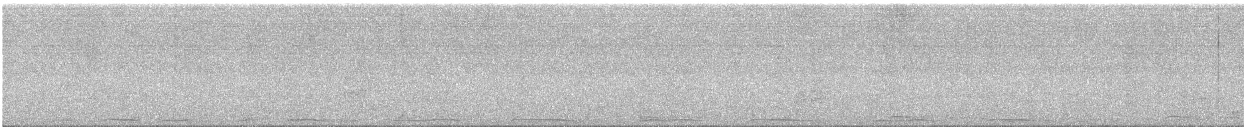 オナガクロムクドリモドキ - ML646419526