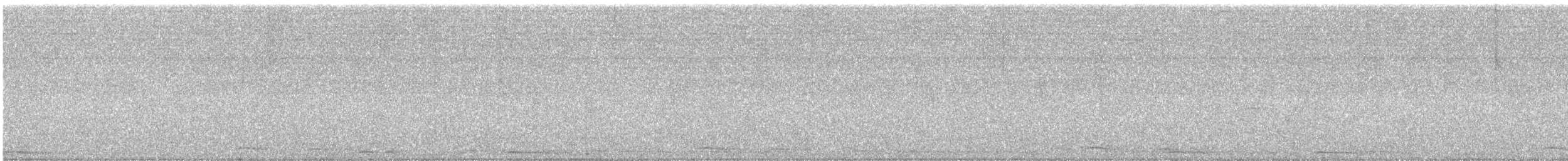 オナガクロムクドリモドキ - ML646419527