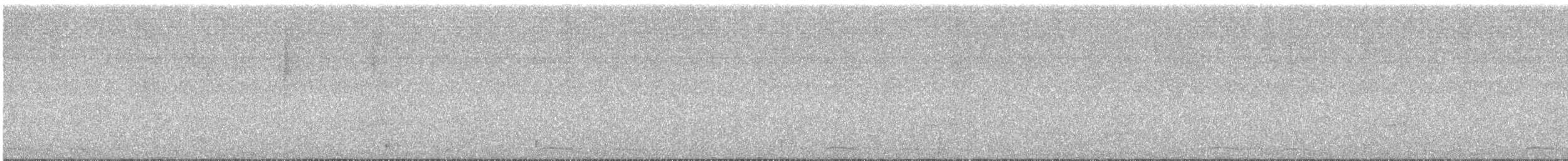 オナガクロムクドリモドキ - ML646419528