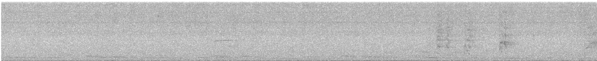 オナガクロムクドリモドキ - ML646419529