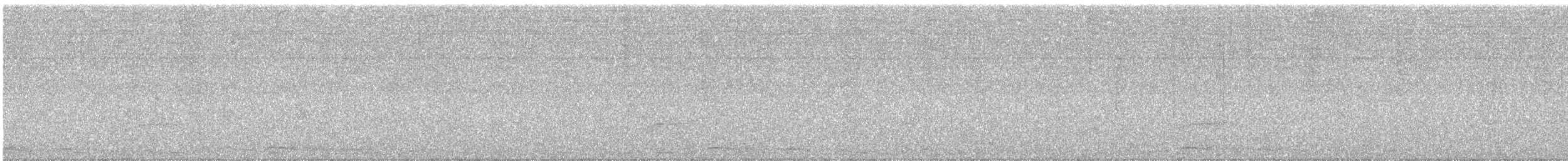 オナガクロムクドリモドキ - ML646419530