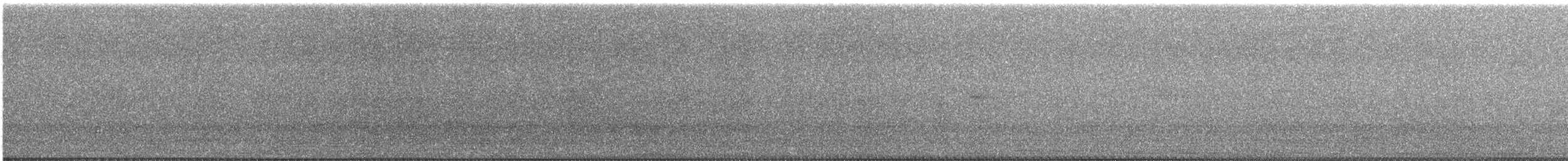 オナガクロムクドリモドキ - ML646419531