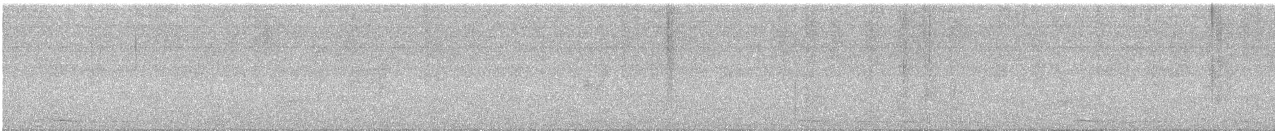 Großschwanzgrackel - ML646419532