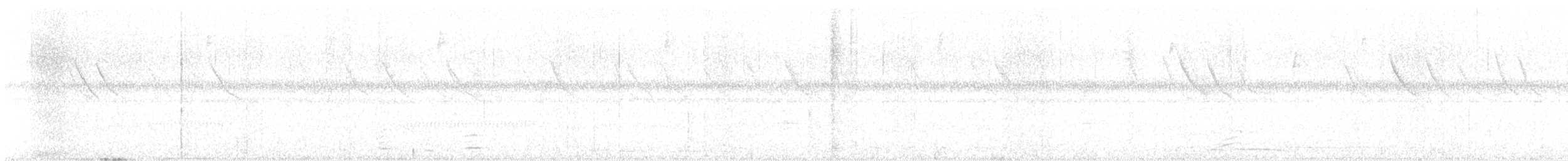 Wilson's Snipe - ML646419590