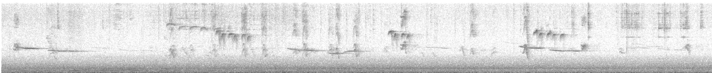 Schwarzkopfmeise - ML646419598