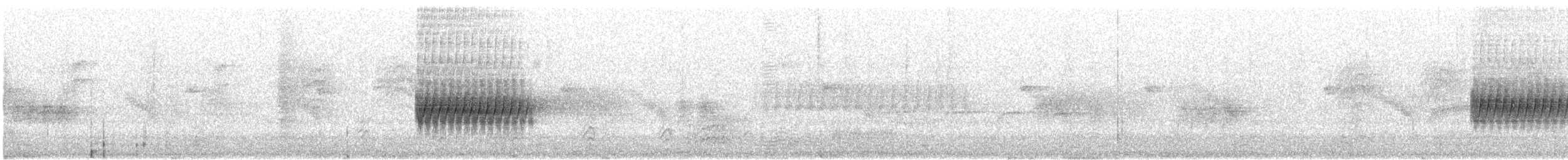 Toquí Moteado - ML646419863