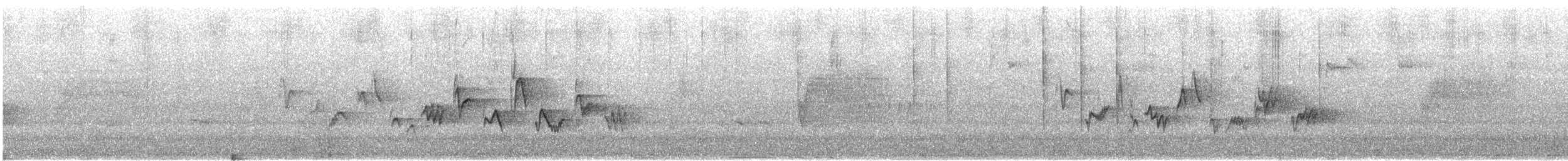 Western Warbling Vireo - ML646419877