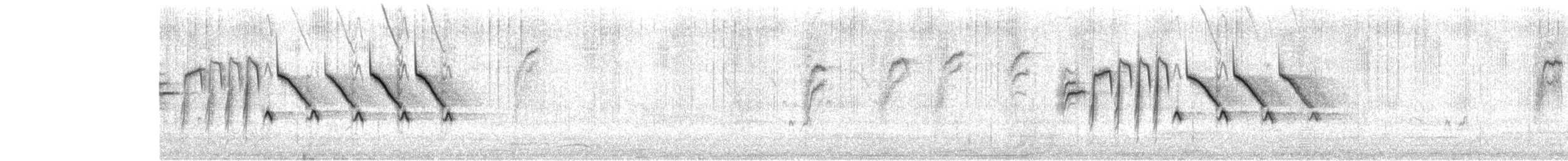 シロハラミソサザイ - ML646419891