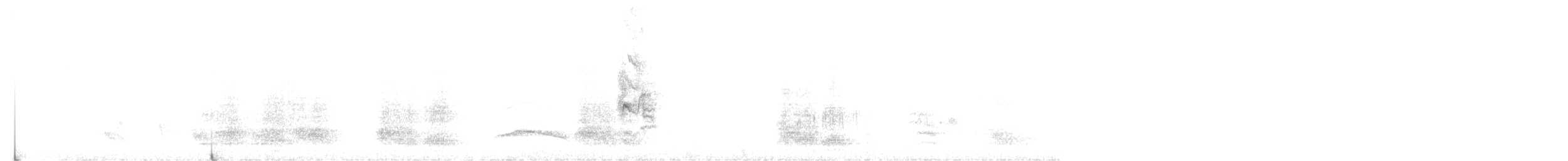 Double-collared Seedeater - ML646420538