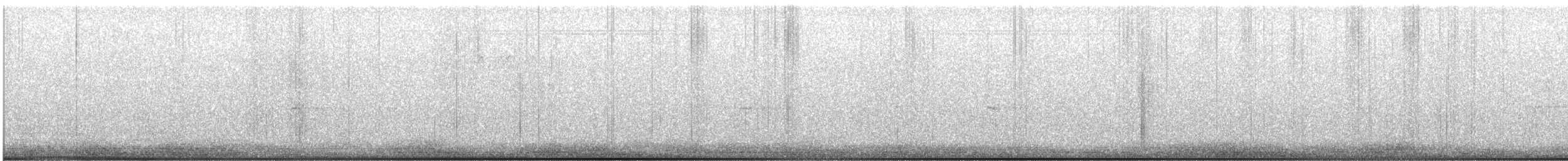 American Robin - ML646420561